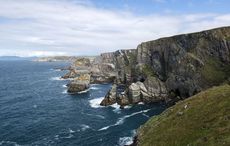 Storms, seals, and winter in West Cork