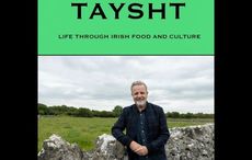 LISTEN: Finding a decent pint with Michael Londra