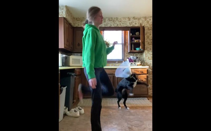 WATCH: Irish dancing dog gets Jiggy for St. Patrick's Day