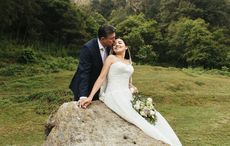 Celebrate Valentine's Day by gifting an Irish Heritage Tree planted in Ireland