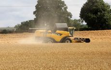 Irish Government urges farmers to grow more crops in wake of Russian invasion of Ukraine