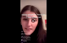 TikTok dunces are claiming Irish isn't a language