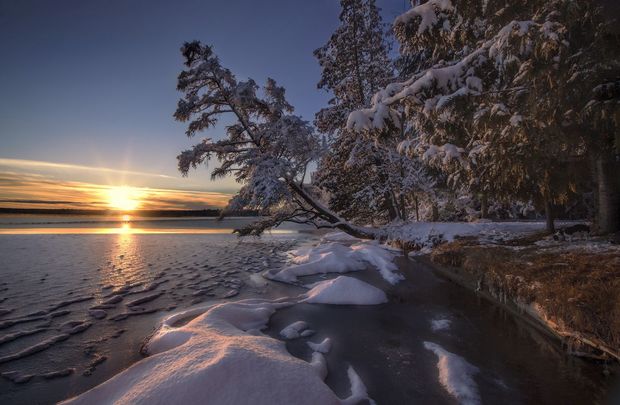 Off the grid! Irish woman and her family are living in snowy Michigan.