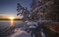 The Irish woman living off the grid in Michigan with her husband and toddler