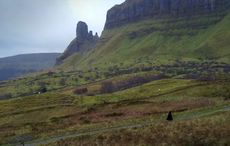 WATCH: Anúna singer features in iconic video game soundtrack