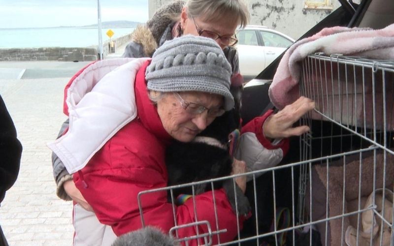 Heartwarming moment Ukrainian grandmother reunited with her dog in Co Clare