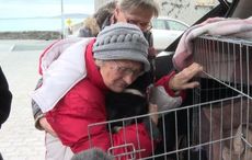 Heartwarming moment Ukrainian grandmother reunited with her dog in Co Clare