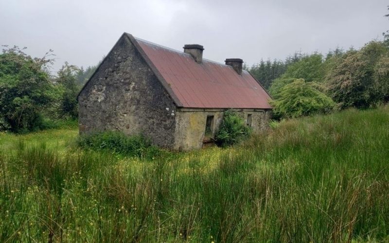 Derelict Leitrim cottage on the market for eyebrow-raising $247k