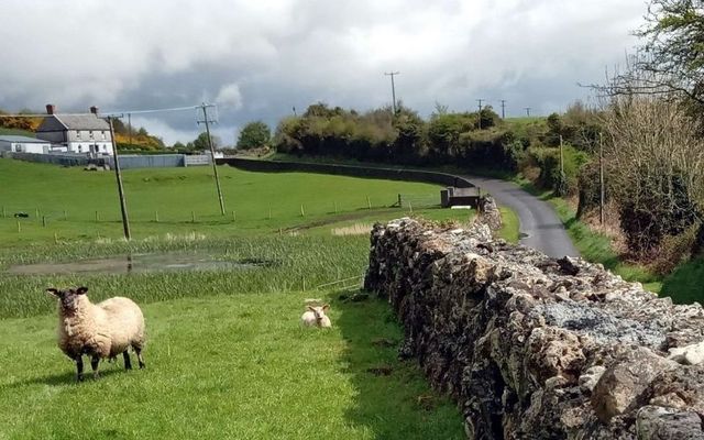 A country road in Kilmurry, Co Clare