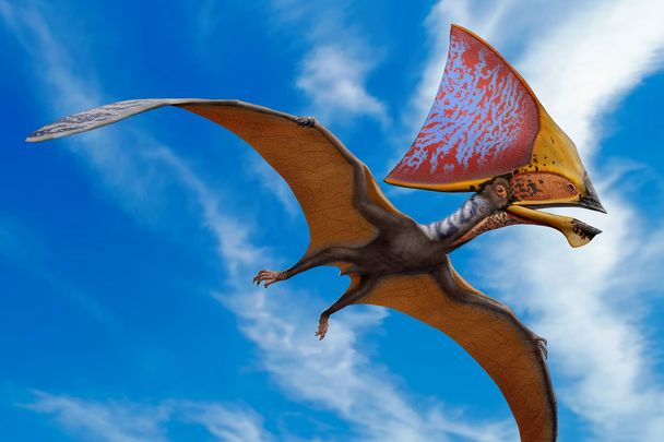 An illustration of Tupandactylus imperator, a pterosaur from the Early Cretaceous Crato Formation of Brazil.
