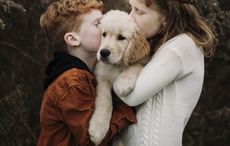 Covid pups - has Ireland lost the run of itself?