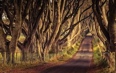 Police investigate pro-Russian graffiti at "Game of Thrones" heritage site