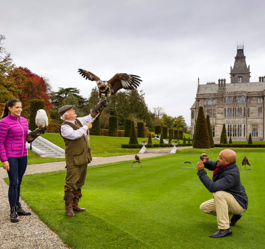 Book your tickets: Explore the beauty of Kerry with Walter's Way Tours this October