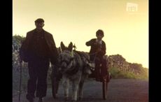 WATCH: A serene look at Ireland in 1977 featuring music from Paddy Moloney and The Chieftains