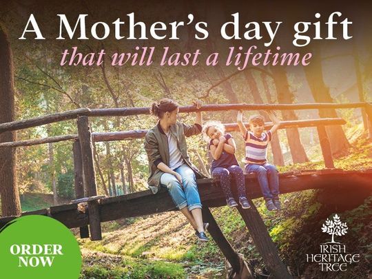 Planting a native tree in Ireland is the perfect Irish gift this Mother\'s Day