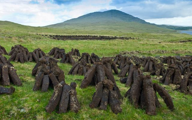 Stacks of turf drying on peat bog at Inagh, Connemara National Park, County Galway, Ireland.