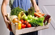 Ireland's food industry faces tsunami of problems post-Covid