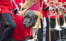 Members of Queen Elizabeth’s Irish Guards charged with drugs and money laundering charges 