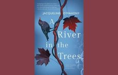 IrishCentral’s Book of the Month: “A River in the Trees” by Jacqueline O’Mahony
