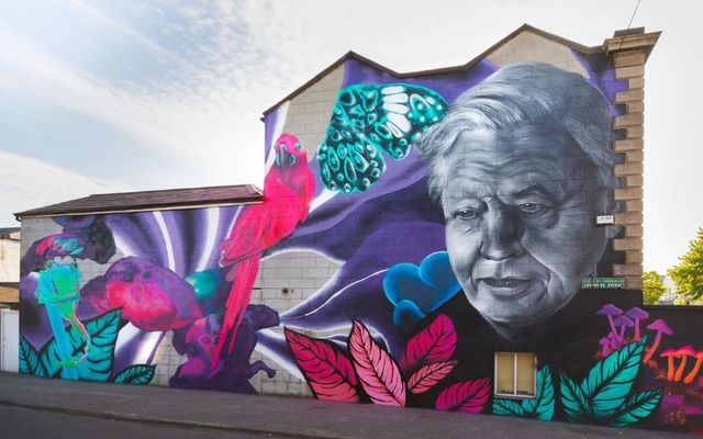 A Subset mural dedicated to David Attenborough painted as part of Earth Day. 