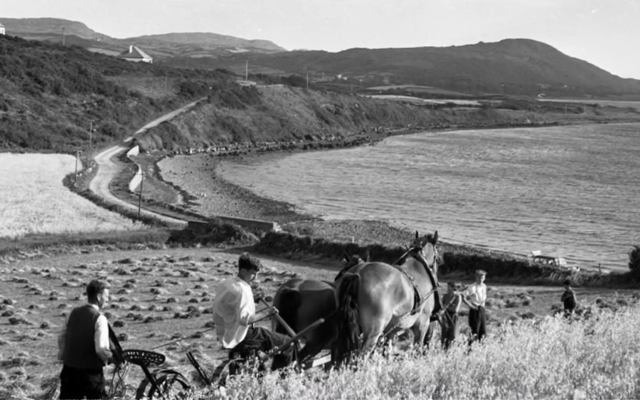 Reminiscing rural Ireland 1850s steam engine threshing