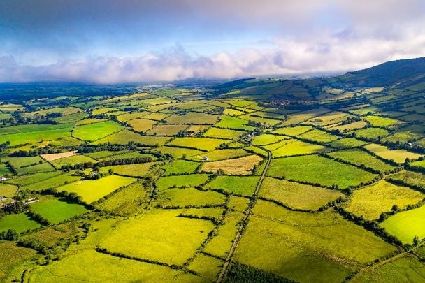 An aerial view of fields in Co Tipperary - how many shades of green can you count?!