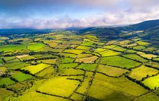 Where did the phrase "Forty Shades of Green" for Ireland come from?