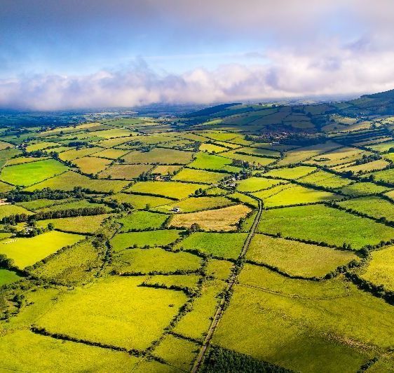 Where did the phrase "Forty Shades of Green" for Ireland come from?