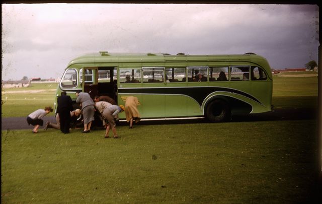 Vintage 1953 Ireland Kodachrome slide: The featured photograph was taken in 1953 by the late Martin J. Walsh Jr. of Murdock, Minnesota. Details of the original Kodachrome slide include:  Information written on slide: Friday May 15, 1953, tour of Liffey Valley and Blessington Lakes. Photo was taken near Curragh. The people are looking for shamrocks, County Kildare.  Learn more about the vintage 1953 Kodachrome slides at JannetWalsh.com.  Photo provided Paul M. Walsh, son of photographer.