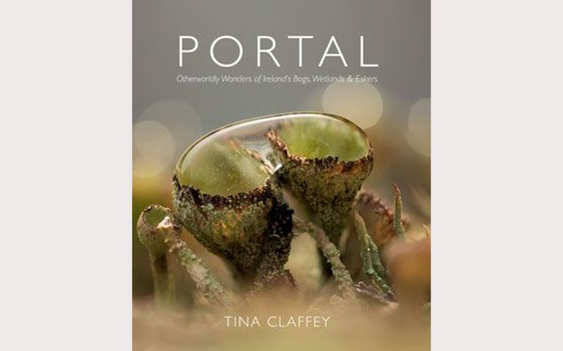 Irish photographer wins praise from David Attenborough amid book launch