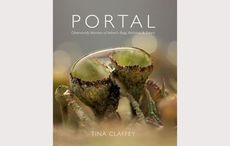 Irish photographer wins praise from David Attenborough amid book launch