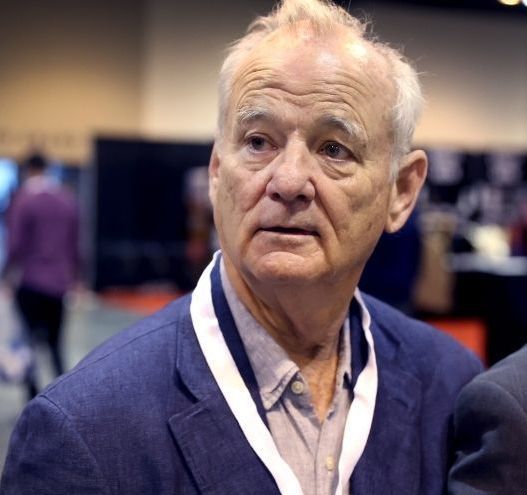 Bill Murray pictured wearing Limerick jersey at All Ireland semi-final in Croke Park