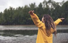 From St. Swithin's Day to Lughnasa - ancient Irish summer days of note