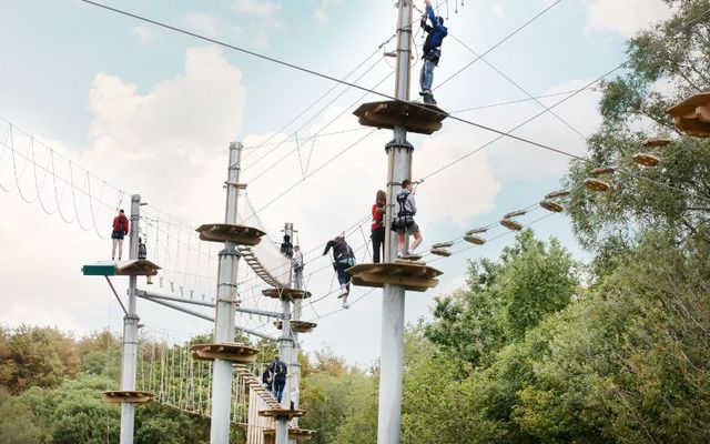 Visitors take on the Zip \'n\' Trek at Wildlands in County Galway. 