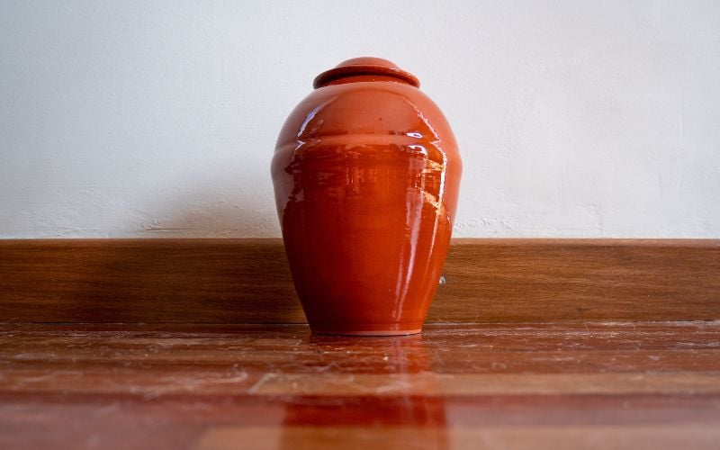 Irish American woman left in shock after parents' ashes lost during flight to Dublin