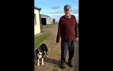 Co Mayo dog thought to be the oldest in the world has passed away