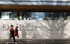 Dublin Zoo denies allegations of animal abuse