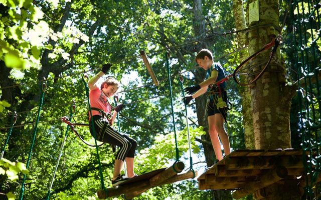 Zipit tree top fun at Lough Key Forest Park.