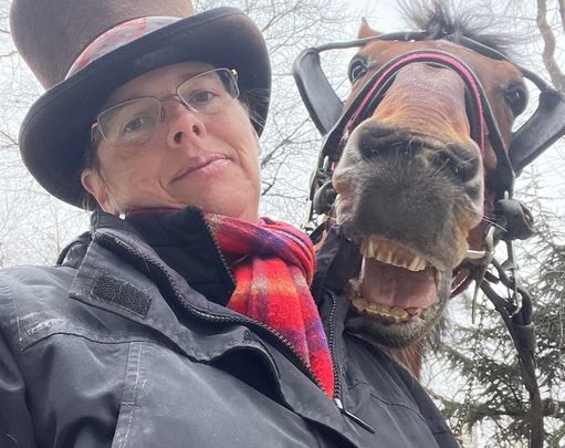 A horse carriage driver and horse in New York City.