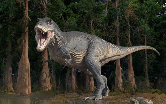 An illustration of Tyrannosaurus rex. 