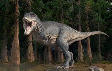 Kilkenny hotel to open "Jurassic Newpark" with robotic dinosaurs