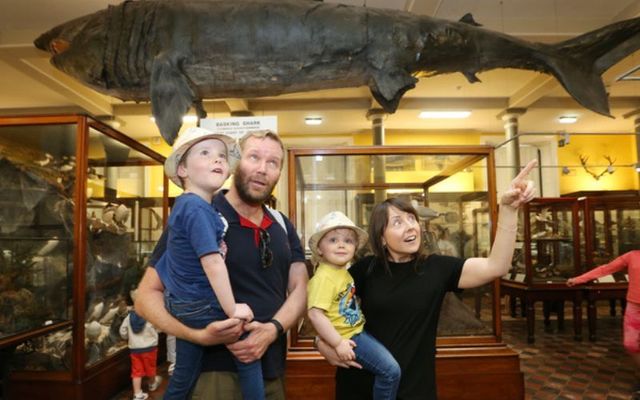 Eoghan and Lynn O\'Brien with their children Tadhg (age 5) and Oisin (age 3) pictured in the newly refurbished Natural History Museum in Dubli