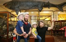 Back from the dead - Ireland’s Natural History Museum reopens in Dublin