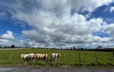 Ireland is all over the place on climate crisis