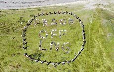 Mark Ruffalo continues support of campaign against LNG terminal in Co Kerry
