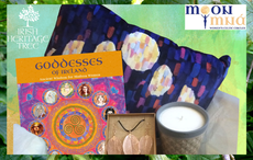 Last chance to win a Celtic hamper and discover the wonders of the Hazel Tree 