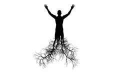 Did your ancestors come from Armagh? Massive amount of new records released online