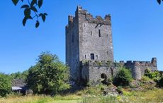 Medieval Irish castle with ties to Henry VIII goes on the market