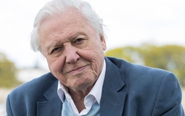 April 30, 2016: Sir David Attenborough attends the launch of the London Wildlife Trust\'s new Flagship nature reserve Woodberry Wetlands in London, England.