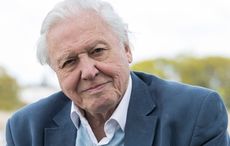 Wild Ireland to be featured in new Sir David Attenborough mini-series